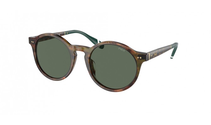 Sunglasses Polo PH4204U-501771-50