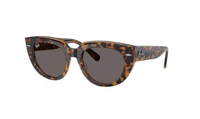  Ray-Ban ® DOREEN RB2286-1292B1