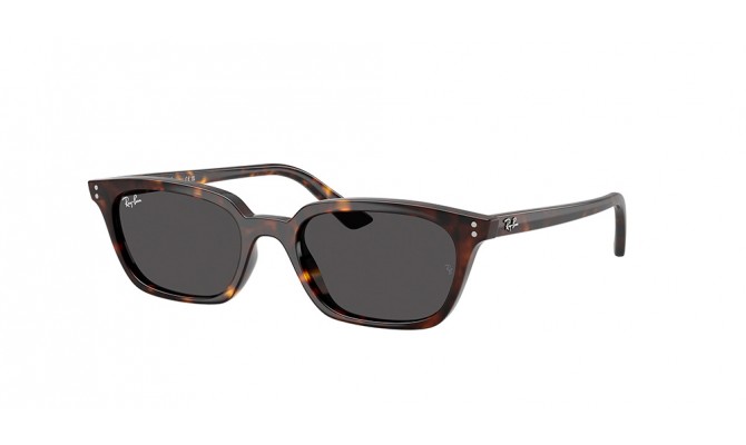  Ray-Ban ® RB4456-135987
