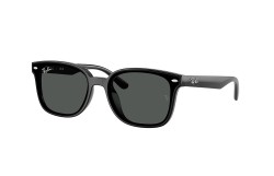 Ray-Ban ® RB4461D-601/87