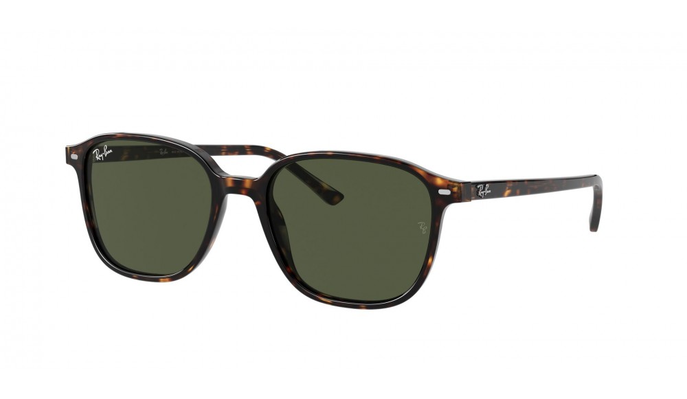  Ray-Ban ® Leonard RB2193-902/31-53