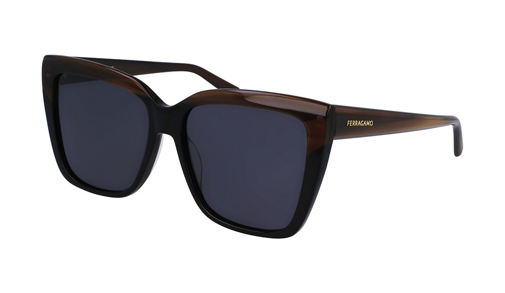 Sunglasses Salvatore Ferragamo SF1102S-217