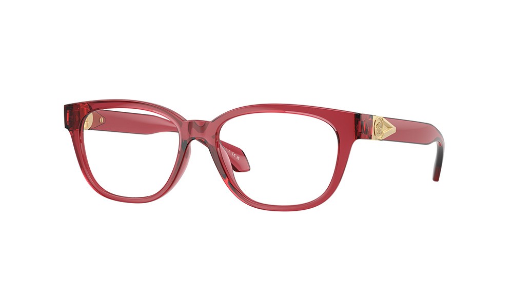  Versace VE3376U-5523-53