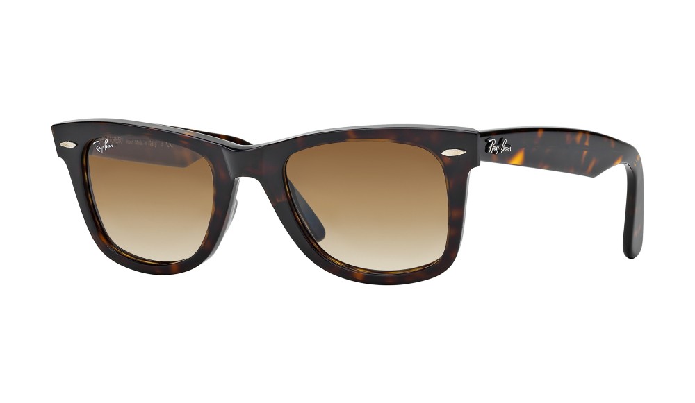 Ray ban wayfarer 47mm polarized hotsell